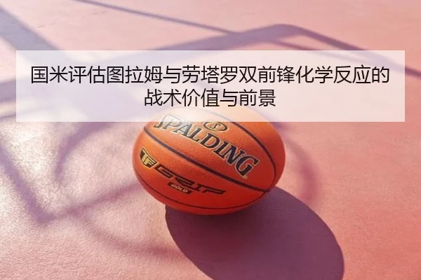 国米评估图拉姆与劳塔罗双前锋化学反应的战术价值与前景